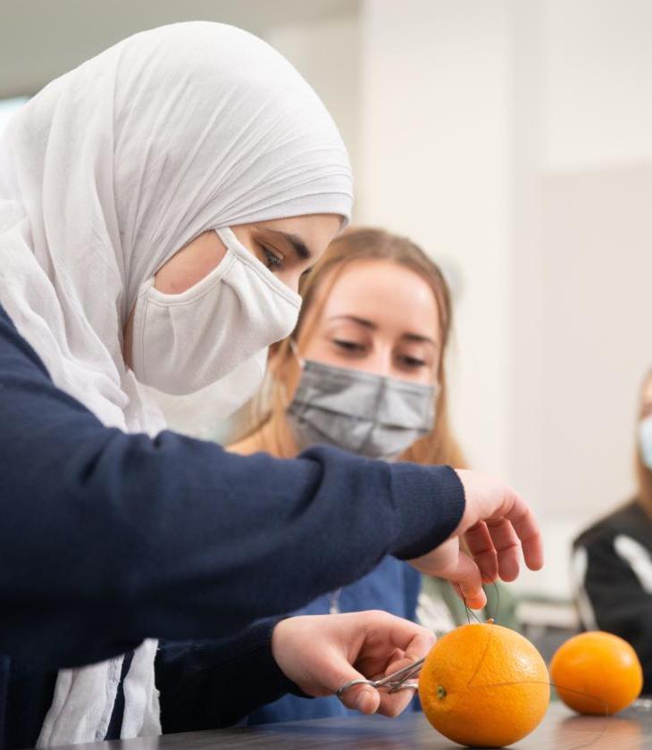 Pre-professional Health Club members practice suturing on oranges